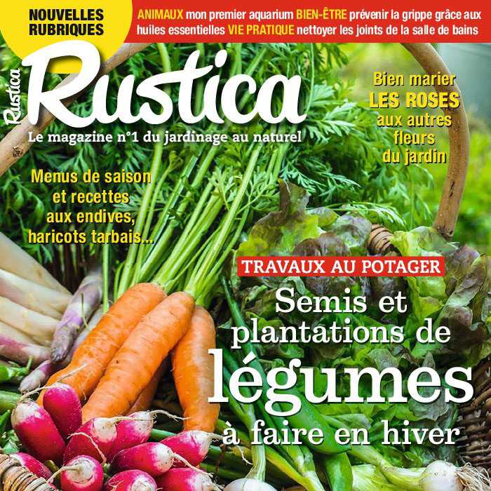 Rustica