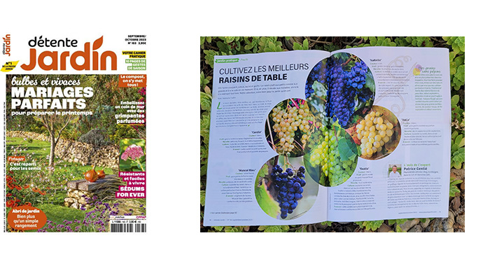 Rédaction bimédia - Articles web et Print