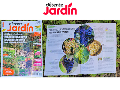 Détente Jardin - Création d'articles rédactionnels web et print