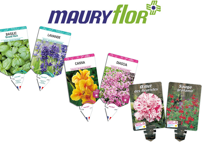 Fiches plantes - Descriptions de fiches plantes
