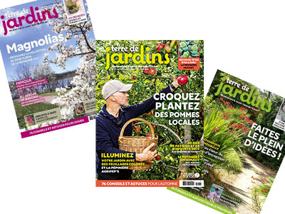 Terre de jardins - Création d'articles rédactionnels print